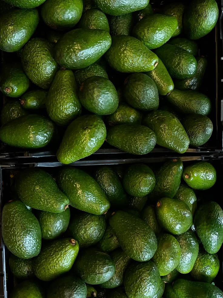Avocado