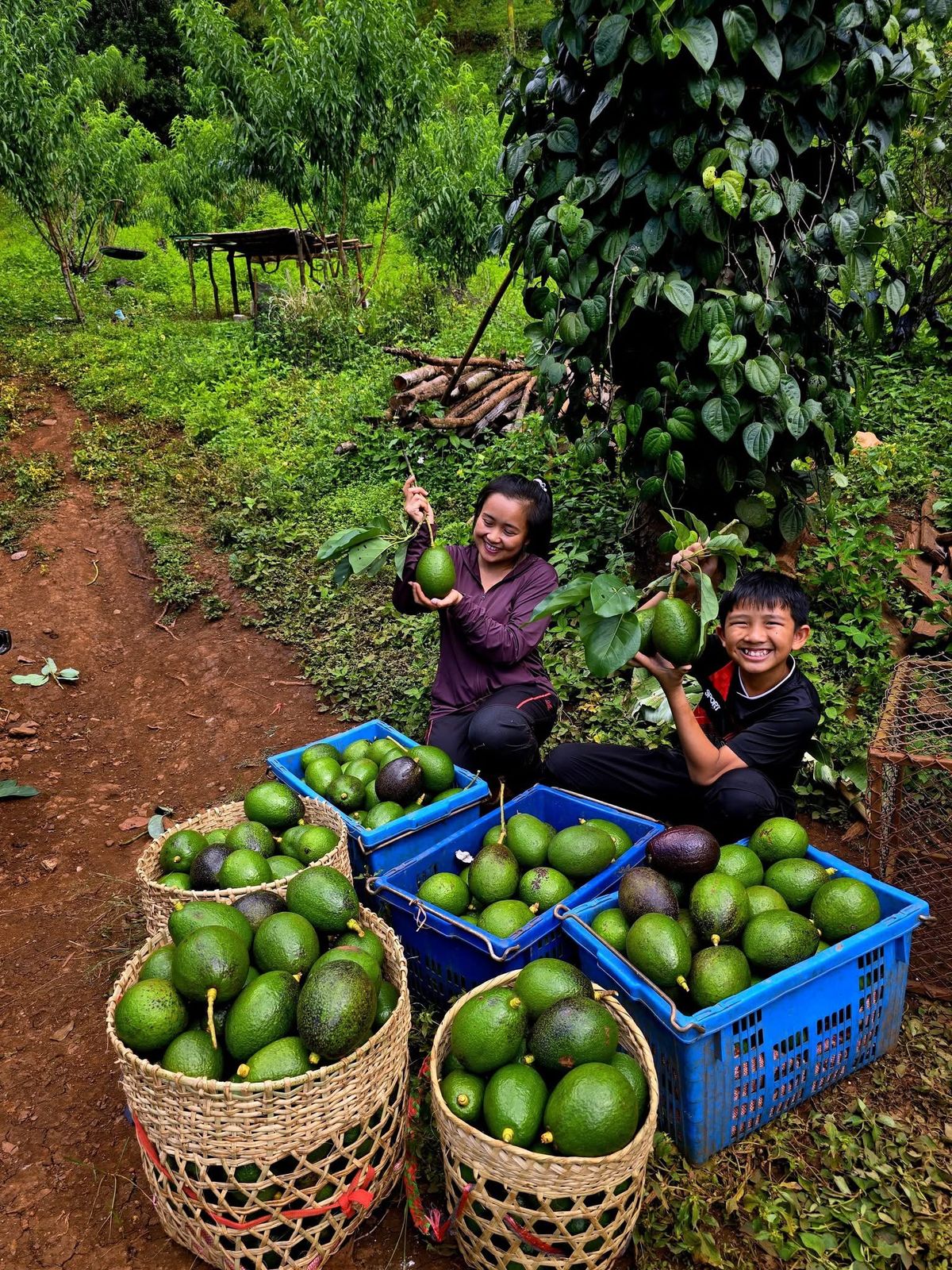 Partner farm