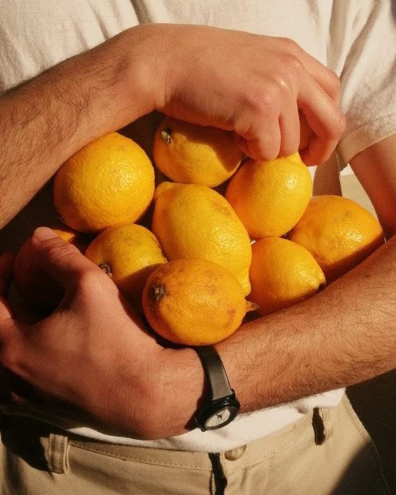 Hands harvesting fresh citrus
